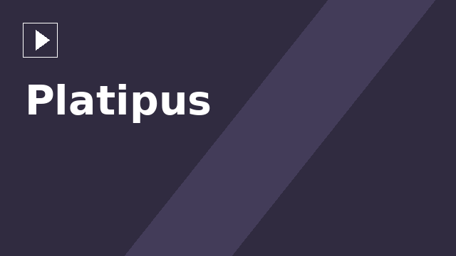 Platipus
